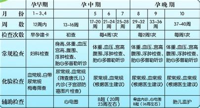 专家详解——孕期检查时间表