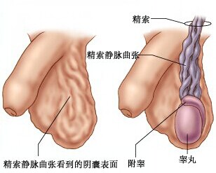 汾阳酒都医院