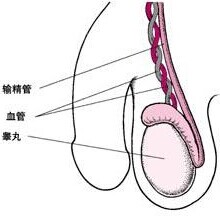 汾阳酒都医院