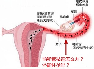 汾阳酒都医院